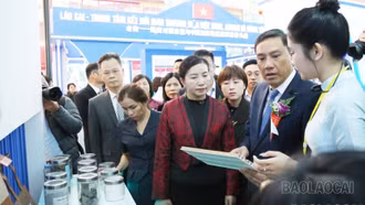 Thành công trong thương mại và hợp tác biên giới