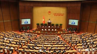 Người nào không được ứng cử đại biểu Quốc hội và đại biểu Hội đồng nhân dân?