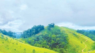 Trên đỉnh đồi Tà Năng