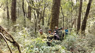 Rừng xanh từ những cam kết của lòng dân