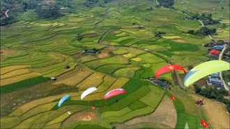 Xanh những giấc mơ đồng quê