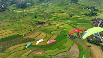 Xanh những giấc mơ đồng quê