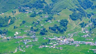 Mùa lúa non xanh mướt trên ruộng bậc thang Sa Pa