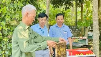 Phát triển 'Kinh tế bạc' tại Việt Nam: Biến thách thức già hóa thành động lực tăng trưởng