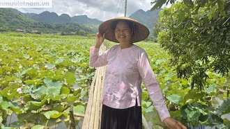 Ý tưởng làm du lịch từ đầm sen quê của người phụ nữ dân tộc Tày