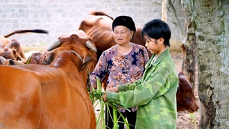 Bảo Yên: Lan tỏa ý chí, nghị lực thoát nghèo