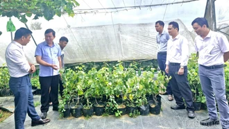 Đoàn công tác Sở Dân tộc và Tôn giáo làm việc với UBND xã Y Tý