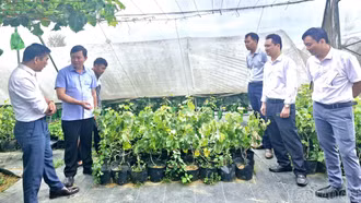 Đoàn công tác Sở Dân tộc và Tôn giáo làm việc với UBND xã Y Tý