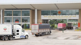 Xuất khẩu gần 50 nghìn tấn quả vải tươi sang thị trường Trung Quốc qua Cửa khẩu Lào Cai