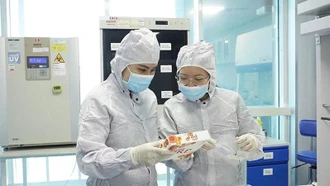 Năm 2026, tiếp tục thực hiện có hiệu quả các chương trình, chính sách an sinh xã hội