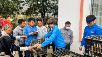 Ban Thanh Niên Quân đội tổ chức chương trình “Sống sau lũ” tại Bát Xát