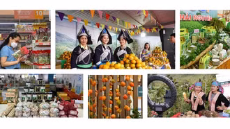 Thúc đẩy thương mại miền núi, vùng sâu, vùng xa và hải đảo, hướng tới phát triển bền vững