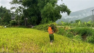 Lào Cai: Công an xã giúp dân khắc phục hậu quả mưa lớn