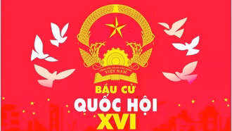 Người ứng cử đại biểu Quốc hội, đại biểu Hội đồng nhân dân có thể là thành viên của các tổ chức phụ trách bầu cử không?