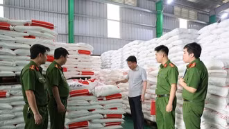 Đột kích xưởng sản xuất mì chính, dầu ăn, bột canh giả quy mô cực lớn