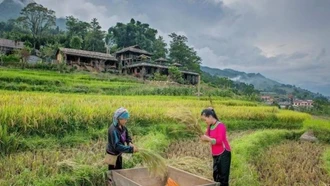 Chuyển đổi số du lịch nông thôn mới: Tiềm năng còn bỏ ngỏ