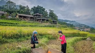 Chuyển đổi số du lịch nông thôn mới: Tiềm năng còn bỏ ngỏ