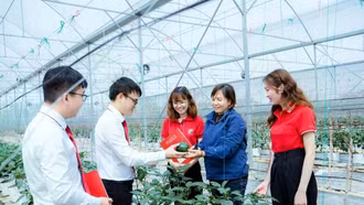 Cơ hội và thách thức của tín dụng xanh