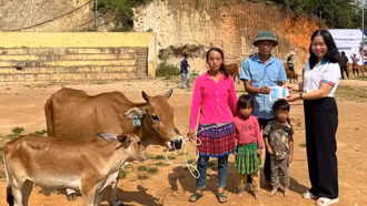 Lào Cai hỗ trợ 50 mô hình sinh kế cho phụ nữ nghèo