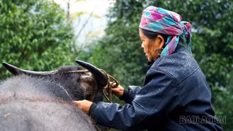 Nhọc nhằn hành trình bảo vệ "đầu cơ nghiệp"