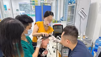 Đề phòng nguy cơ bệnh dại bùng phát trong mùa hè