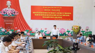  Phấn đấu tốc độ tăng trưởng đạt 8,5%