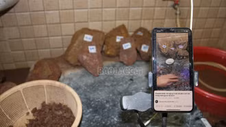 Lào Cai: Triệt phá nhóm lừa đảo chiếm đoạt tài sản trên không gian mạng bằng hình thức livestream bán đá “đổ thạch”