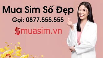 Dự đoán những dòng sim số đẹp dẫn đầu xu hướng thị trường năm 2025