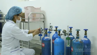 Ngành y tế Lào Cai sẵn sàng ứng phó với dịch bệnh do virus Nipah