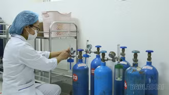 Ngành y tế Lào Cai sẵn sàng ứng phó với dịch bệnh do virus Nipah