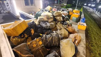 Tạm giữ hơn 10 tấn hàng thực phẩm đông lạnh nhập lậu