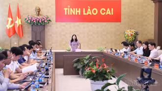 Chuẩn bị chu đáo các điều kiện để tổ chức thành công các sự kiện văn hóa, thể thao trong tháng 8 - 9/2026