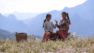 Sắc xuân miền sơn cước