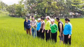 Bát Xát: Tập huấn sử dụng phân bón, thuốc bảo vệ thực vật an toàn, hiệu quả