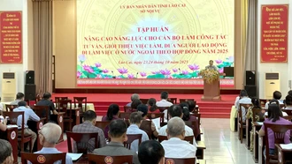 Gần 170 cán bộ được tập huấn nâng cao năng lực tư vấn, giới thiệu việc làm và đưa người đi lao động ở nước ngoài