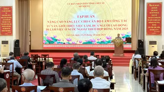 Gần 170 cán bộ được tập huấn nâng cao năng lực tư vấn, giới thiệu việc làm và đưa người đi lao động ở nước ngoài