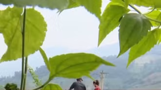 Bẫy 'hôn nhân đổi đời' trên mạng: Nhiều nạn nhân bị bán ra nước ngoài