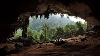 Quần thể hang động Niah của Malaysia được UNESCO công nhận là di sản thế giới