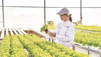 Minh bạch dữ liệu, nền tảng của khởi nghiệp xanh