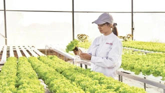 Minh bạch dữ liệu, nền tảng của khởi nghiệp xanh