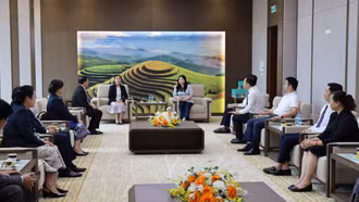 Phó Chủ tịch UBND tỉnh Vũ Thị Hiền Hạnh tiếp xã giao Đoàn công tác Sở Y tế tỉnh Viêng Chăn (Lào) 