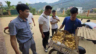 Lào Cai: Sau lũ ống, nhiều bản vực dậy từ bùn đất