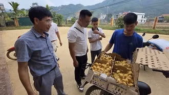 Lào Cai: Sau lũ ống, nhiều bản vực dậy từ bùn đất