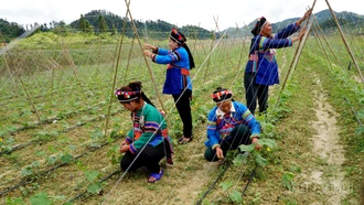 Giảm nghèo thông tin trong vùng đồng bào dân tộc thiểu số