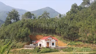 Đa dạng sinh kế, giảm nghèo bền vững cho người dân