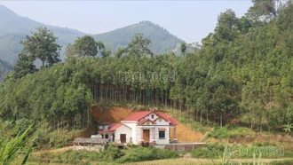 Đa dạng sinh kế, giảm nghèo bền vững cho người dân