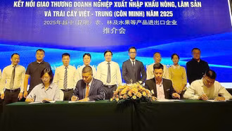 Lào Cai tổ chức Hội nghị kết nối giao thương doanh nghiệp xuất-nhập khẩu nông-lâm sản tại Trung Quốc