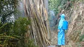 Chủ động triển khai phòng chống dịch bệnh mùa hè 