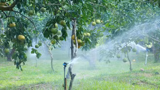 Nông dân Lào Cai trong môi trường số