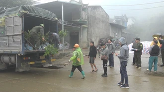 Hạt Kiểm lâm huyện Si Ma Cai cấp phát cây giống dẻ Trùng Khánh cho người dân